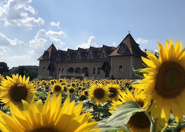 Sappusztai Vendeghaz 4*